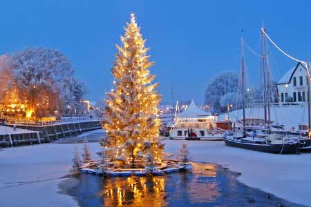 Schwimmender Weihnachtsbaum